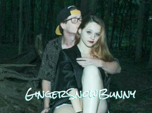 GingerSnowBunny