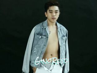 GinoReed