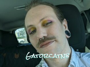 Gatorcatnb