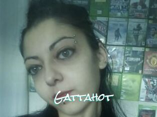 Gattahot