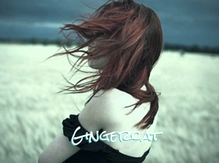 Gingercat