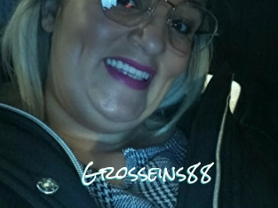 Grosseins88