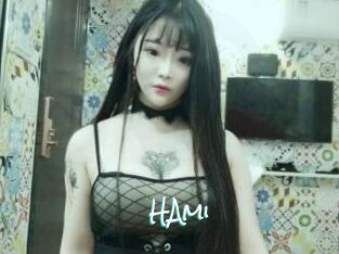 HAmi