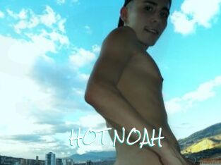 HOT_NOAH