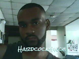 Hardcock9inch