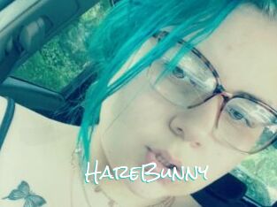 HareBunny