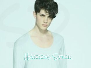 Harrys_Stick