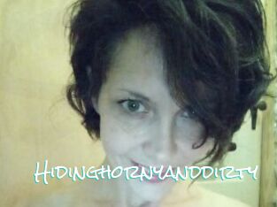 Hidinghornyanddirty Sensuality Dream