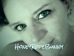 HoneyRopeBunny