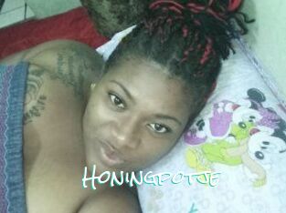 Honingpotje