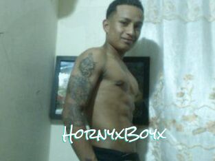 HornyxBoyx