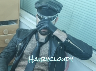 Hairycloudy