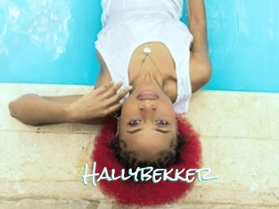 Hallybekker