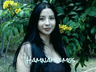 Hamnaholmes