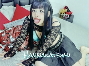 Hannakatsumi