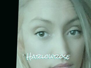 Harlowrose