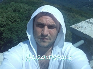 Haroldspace