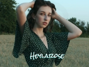 Heylarose