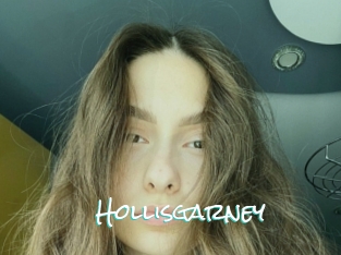 Hollisgarney