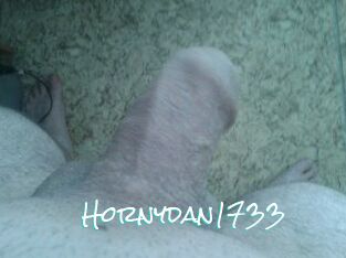 Hornydan1733