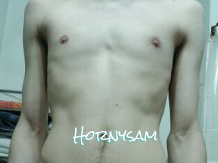 hornysam Sensuality Dream