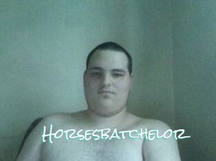 Horsesbatchelor