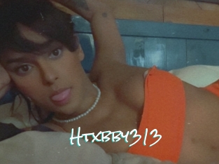 Htxbby313