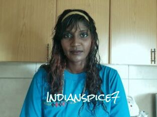 Indianspice7