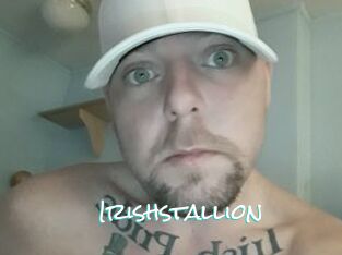 Irishstallion