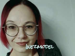Inezmodel