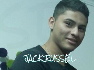 JACK_RUSSEL