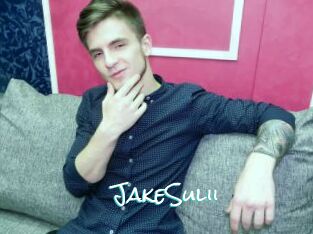 JakeSulii