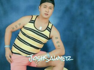 JoshSawyer Sensuality Dream