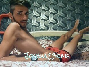 Joshua23cms