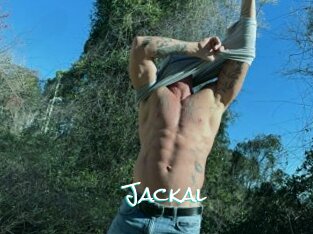 Jackal