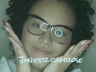 Juniper_camrose
