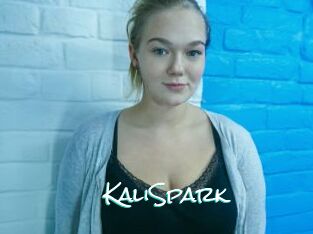 KaliSpark