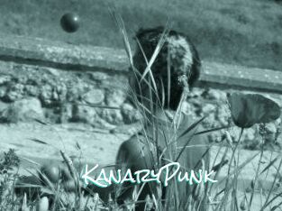 KanaryPunk