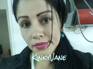 KinkyVane