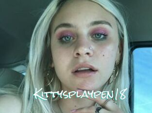 Kittysplaypen18