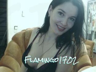 Flamingo1702
