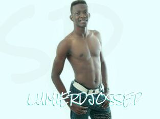 LUMIERDJOSSEP
