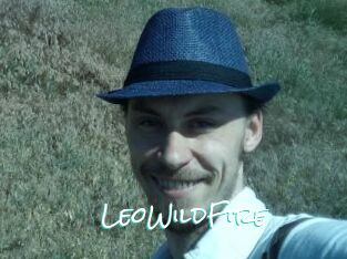 LeoWildFire