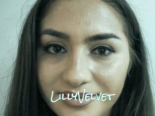 LillyVelvet
