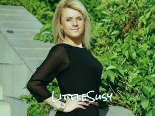 LittleSusy