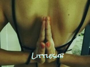 Littlesub