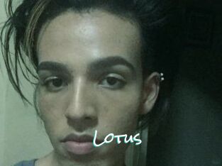 Lotus