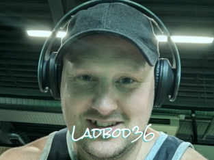 ladbod36 Sensuality Dream