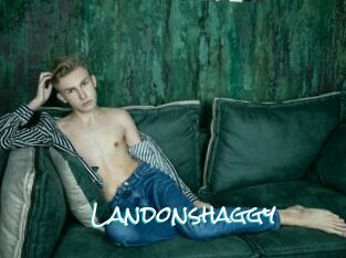 Landonshaggy