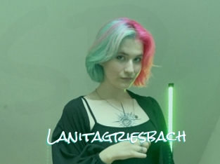 Lanitagriesbach